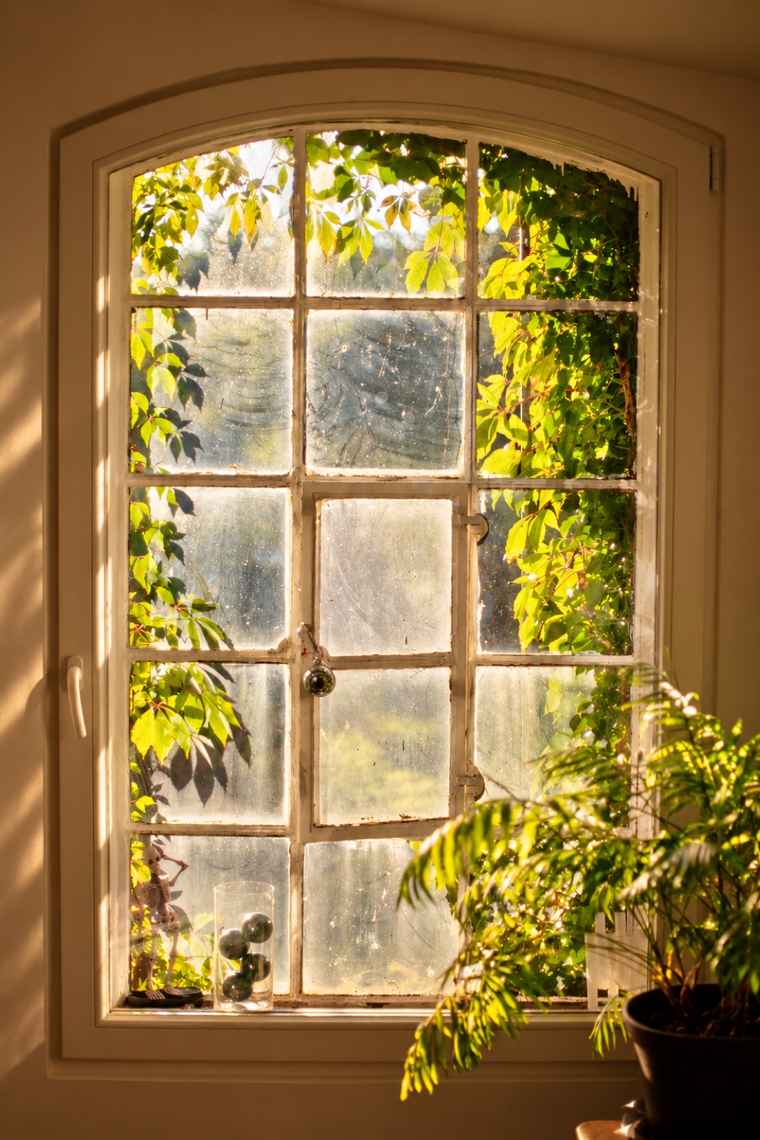 Sonnenlicht und Weinlaub am historischen Mühlenfenster